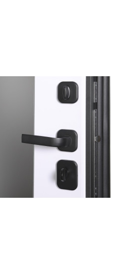 Стальная дверь "Scandi" с зеркалом | Порошковое покрытие 