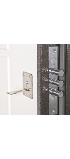 Стальная дверь "Лидер" | Порошковое покрытие 