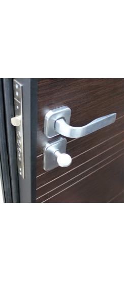 Стальная дверь "Next 2" | Порошковое покрытие 