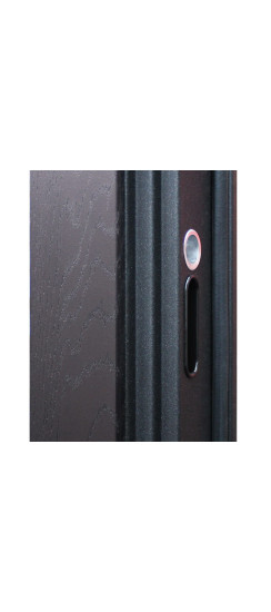 Стальная дверь "Дуэт" с зеркалом | Порошковое покрытие 