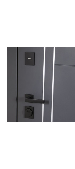 Стальная дверь "Vegas" с зеркалом | Порошковое покрытие 