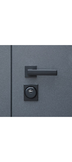 Стальная дверь «Байкал» (двустворчатая) | Порошковое покрытие 