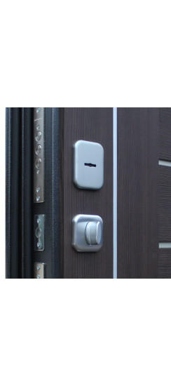 Стальная дверь "Соло" | Порошковое покрытие 