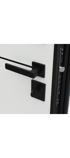 Стальная дверь "Бриг" | Порошковое покрытие 