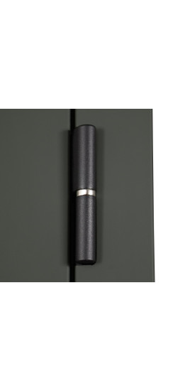 Стальная дверь "Scandi" с зеркалом | Порошковое покрытие 