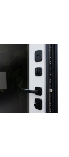 Стальная дверь "Ньюкасл" с зеркалом | Порошковое покрытие 