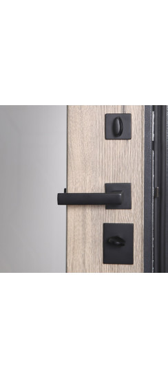 Стальная дверь  "Беркут" с зеркалом | Порошковое покрытие 