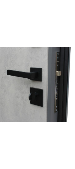 Стальная дверь "Дуэт Б" | Порошковое покрытие 