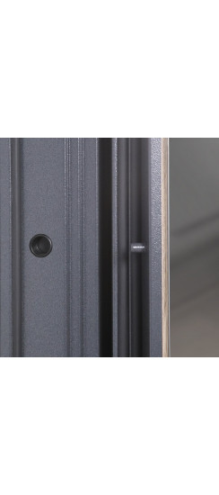 Стальная дверь  "Беркут" с зеркалом | Порошковое покрытие 