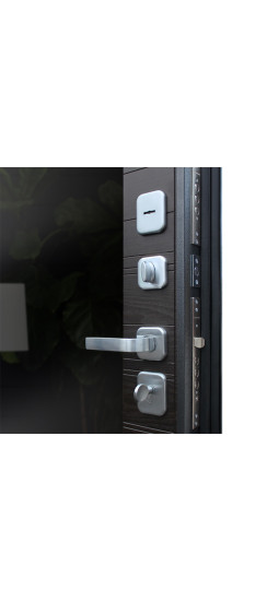 Стальная дверь "Next 1" с зеркалом | Порошковое покрытие 