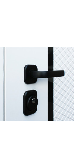 Стальная дверь «Ливерпуль» | Порошковое покрытие 