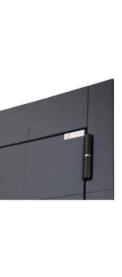 Стальная дверь "Forest" с зеркалом | Порошковое покрытие 