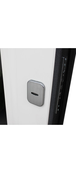 Стальная дверь "Арсенал" с зеркалом | Порошковое покрытие 