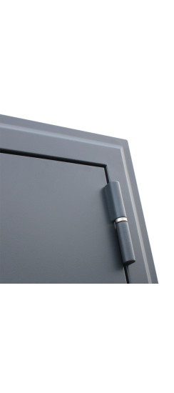 Стальная дверь "Барселона" с зеркалом | Порошковое покрытие 