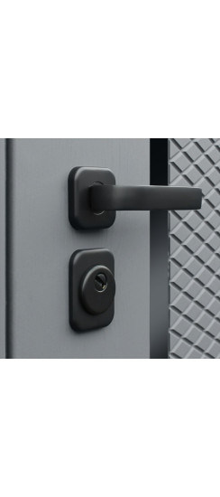 Стальная дверь "Манчестер" с зеркалом | Порошковое покрытие 