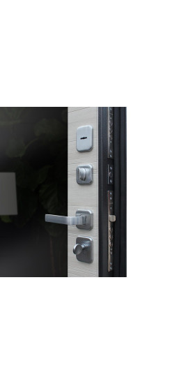 Стальная дверь "Next 1" с зеркалом | Порошковое покрытие 