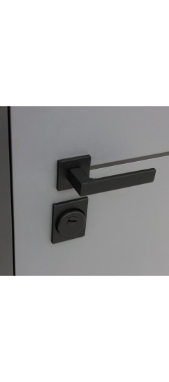 Стальная дверь "Бриг с зеркалом" | Порошковое покрытие 