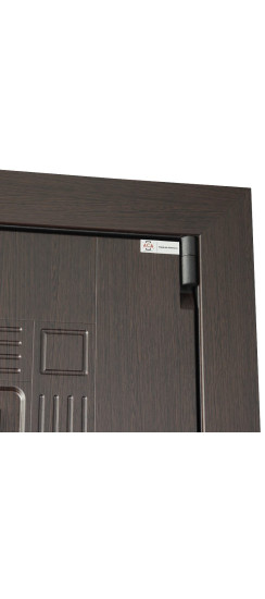 Стальная дверь "Викинг" | Порошковое покрытие 