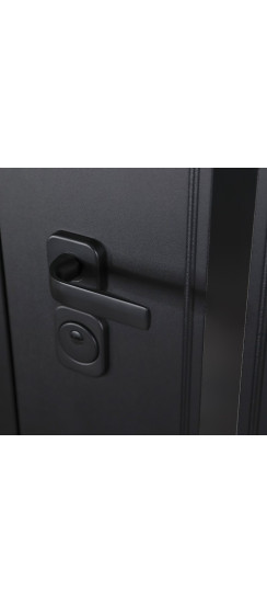 Стальная дверь "Solana" с зеркалом | Порошковое покрытие 