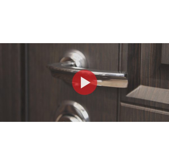 Стальная дверь "Гермес NEW" с зеркалом "Elit" | Порошковое покрытие 