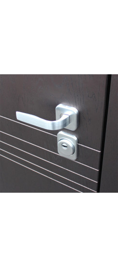 Стальная дверь "Дуэт" | Порошковое покрытие 