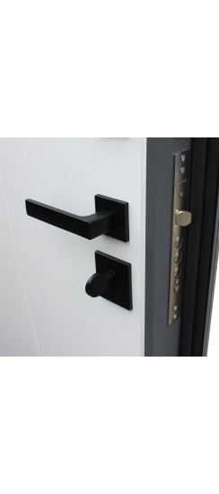 Стальная дверь "Дуэт Б" | Порошковое покрытие 