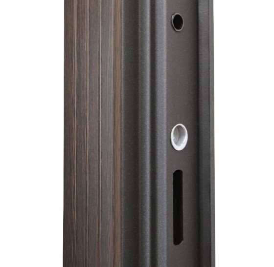 Стальная дверь "Гермес NEW" с зеркалом "Elit" | Порошковое покрытие 