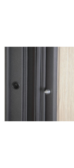 Стальная дверь «Викинг» с зеркалом | Порошковое покрытие 