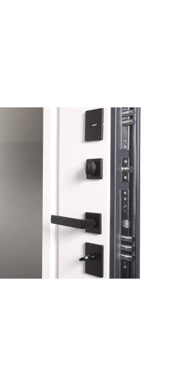 Стальная дверь "Vegas" с зеркалом | Порошковое покрытие 