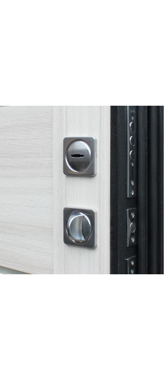 Стальная дверь "Техно XN 99" | Порошковое покрытие 