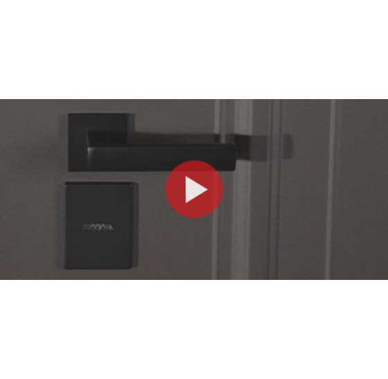 Стальная дверь Норильск с зеркалом (терморазрыв 3к) | Порошковое покрытие 