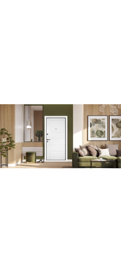 Стальная дверь "Лидер" | Порошковое покрытие 