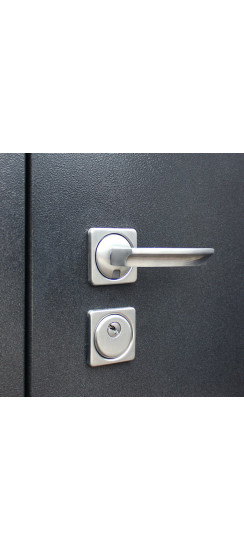 Стальная дверь "Техно XN 99" | Порошковое покрытие 