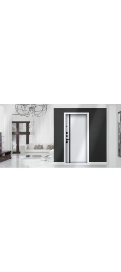 Стальная дверь «Ливерпуль» | Порошковое покрытие 