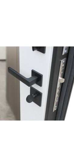 Стальная дверь "Velvet" с зеркалом | Порошковое покрытие 