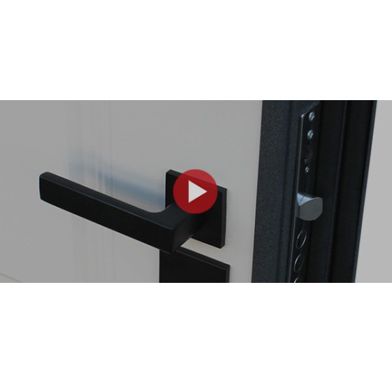 Стальная дверь "Арктика" (терморазрыв 3к) | Порошковое покрытие 