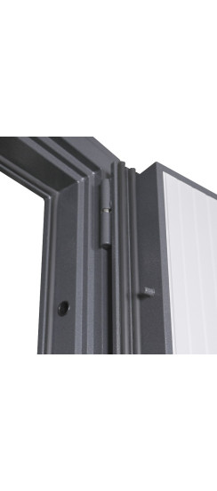 Стальная дверь "Беркут" магазина "АСД" | Порошковое покрытие 