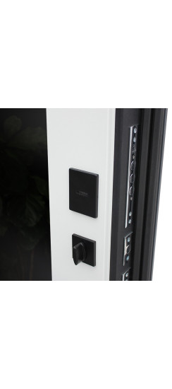 Стальная дверь "Бриг с зеркалом" | Порошковое покрытие 