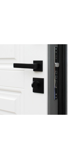 Стальная дверь "Лира" | Порошковое покрытие 