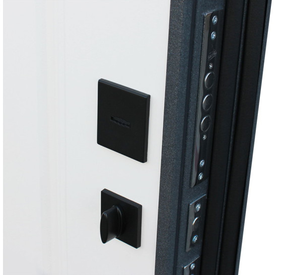 Стальная дверь "Арктика" (терморазрыв 3к) | Порошковое покрытие 