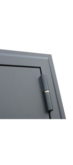 Стальная дверь "Барселона" | Порошковое покрытие 