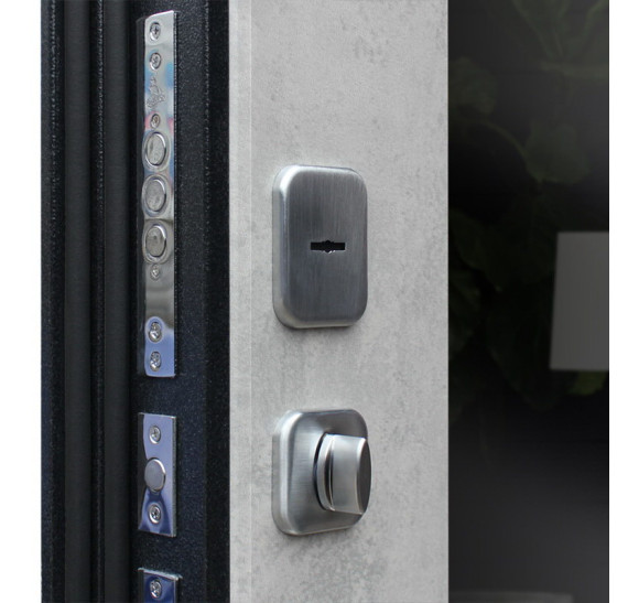 Стальная дверь "Спартак Б" с зеркалом | Порошковое покрытие 