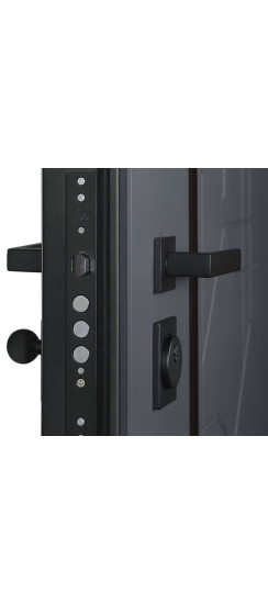 Стальная дверь "Forest" с зеркалом | Порошковое покрытие 