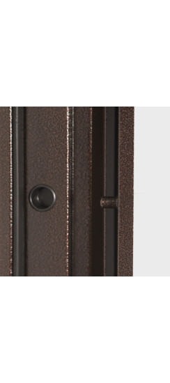 Стальная дверь "Лидер" | Порошковое покрытие 