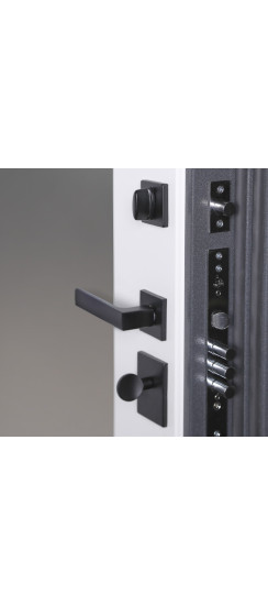 Стальная дверь  "Беркут" с зеркалом | Порошковое покрытие 