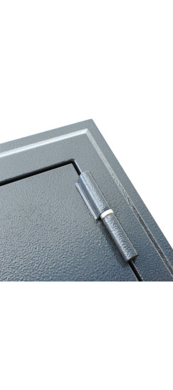 Стальная дверь "Техно XN 99" | Порошковое покрытие 