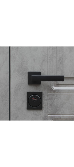 Стальная дверь "Лира" | Порошковое покрытие 