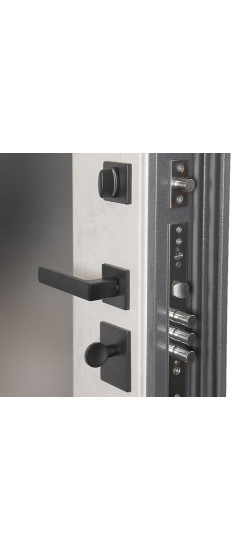 Стальная дверь  "Беркут" с зеркалом | Порошковое покрытие 