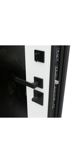 Стальная дверь "Бриг с зеркалом" | Порошковое покрытие 