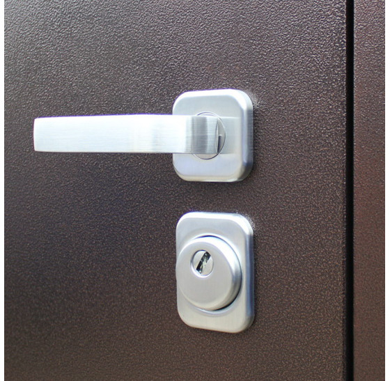 Стальная дверь "Спартак" с зеркалом | Порошковое покрытие 